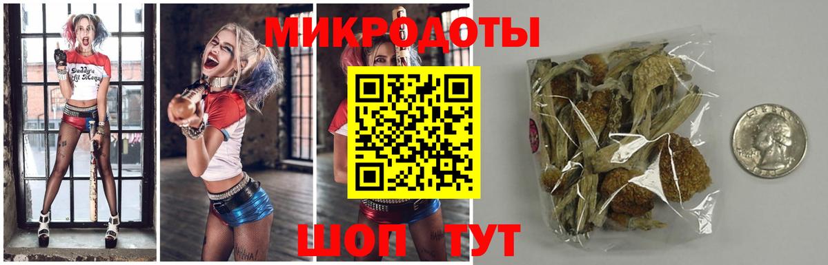 Нягань  Галлюциногенные грибы Psilocybe  Вход с VPN 